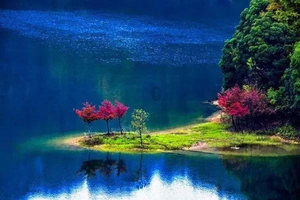 海滩棚屋逃生